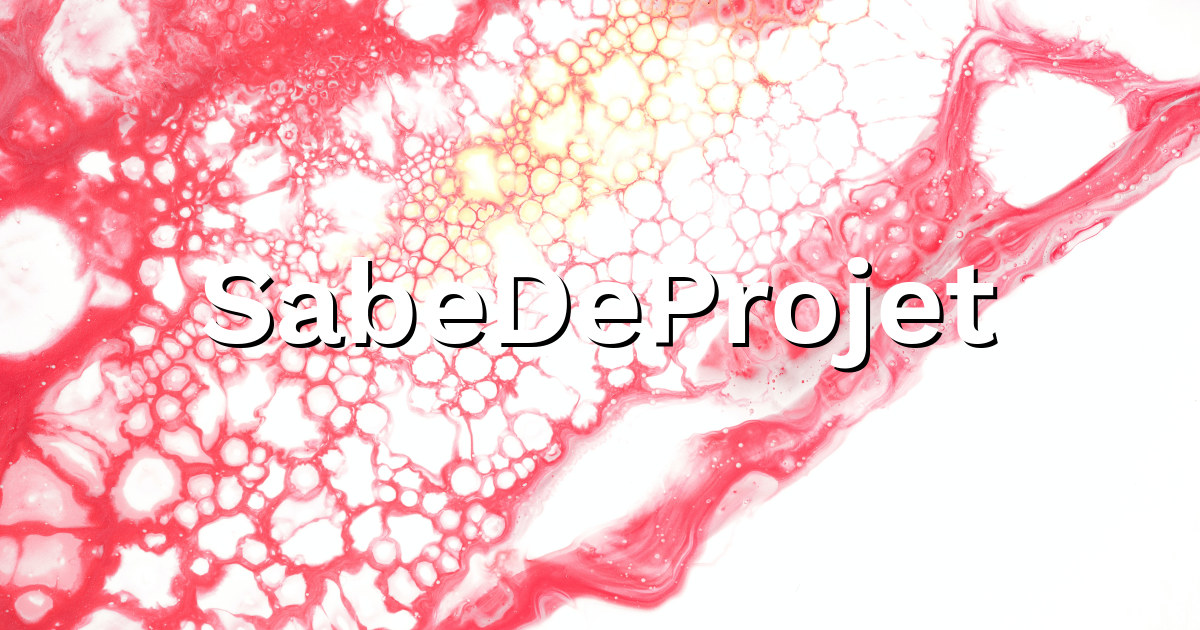 SabeDeProjet - SABE - Chef de projet