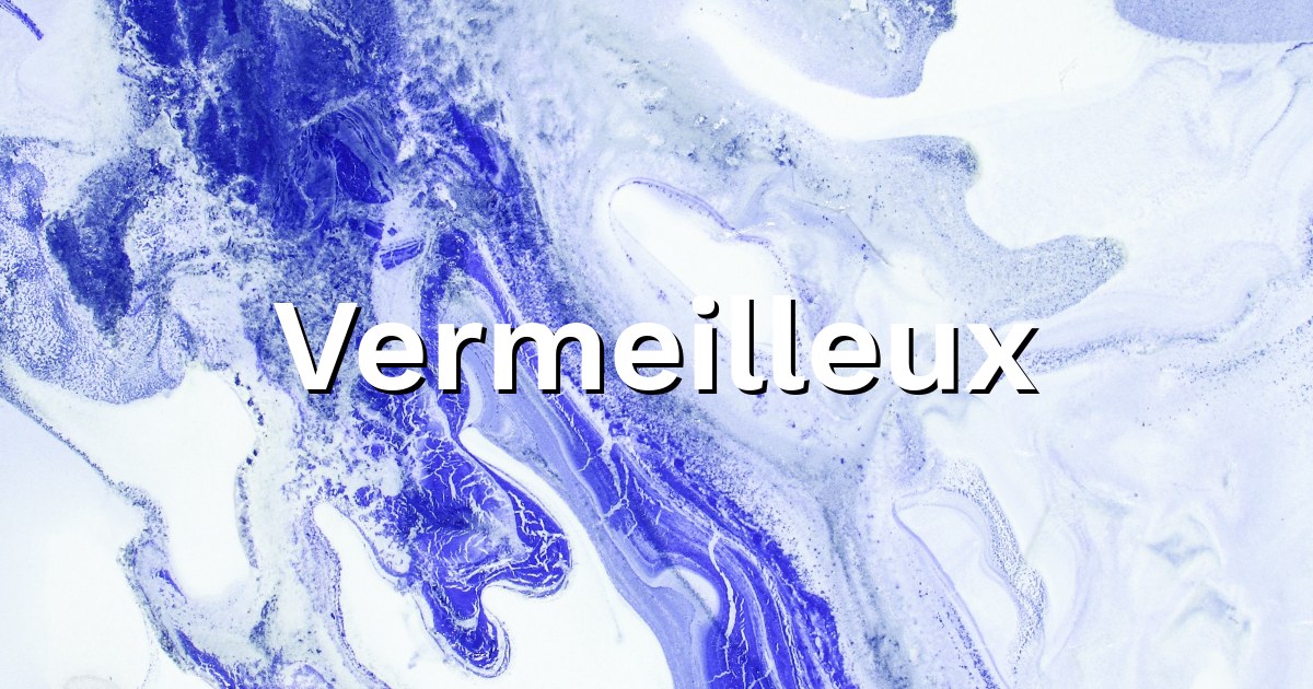 Vermeilleux - VYV3 - Directeur EHPAD