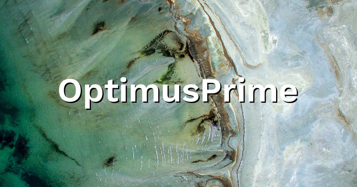 OptimusPrime - Chef de projet ERP - ADEOS