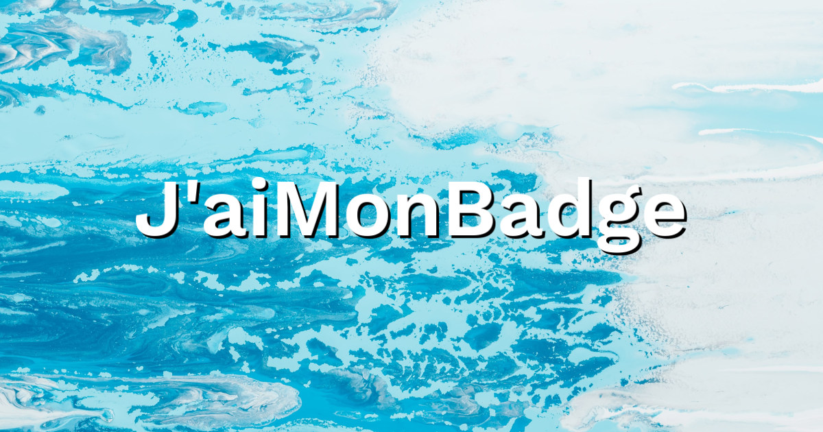 JaiMonBadge - Directeur exploitation stationnement - NGE
