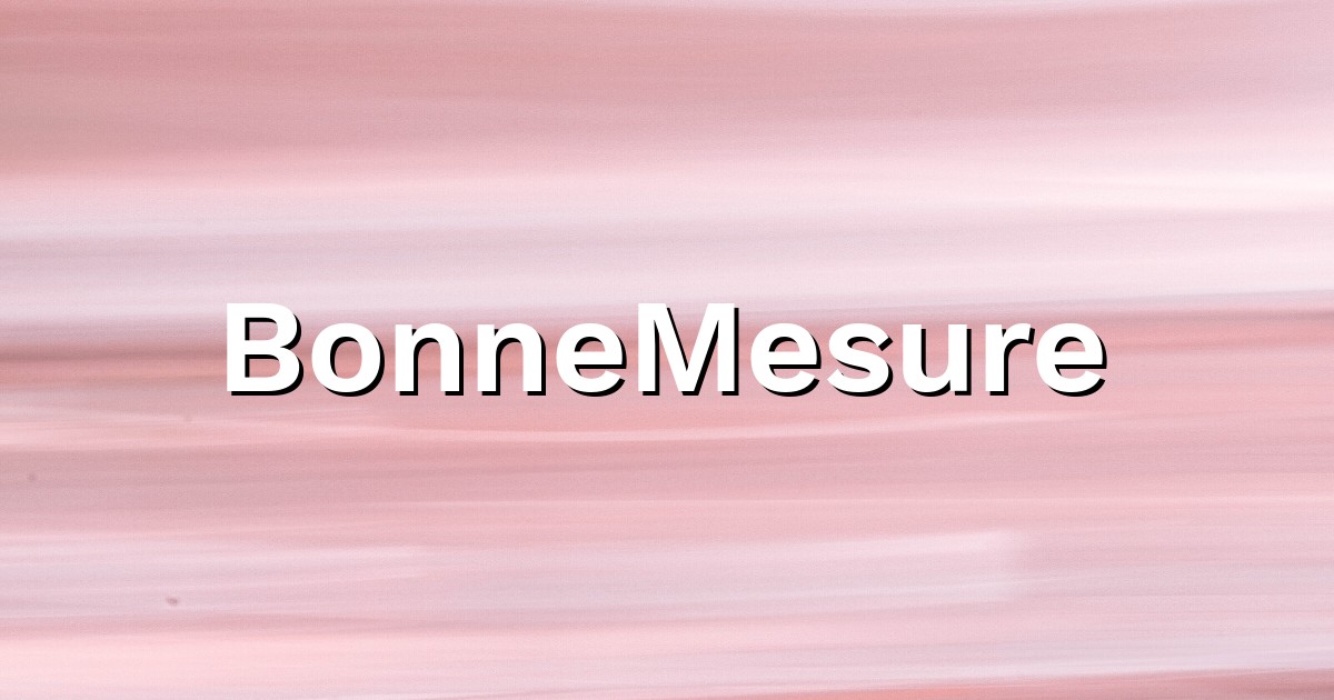 BonneMesure - Technico-commercial itinérant