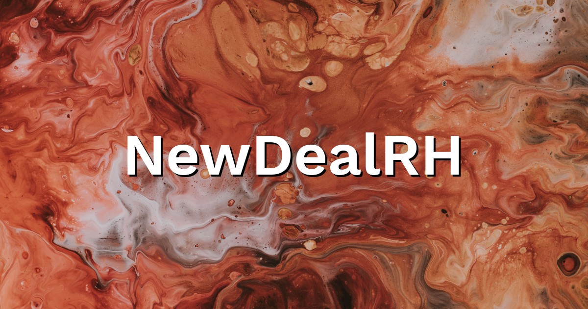 NewDealRH - Entrepreneur Business Developer Solutions RH
