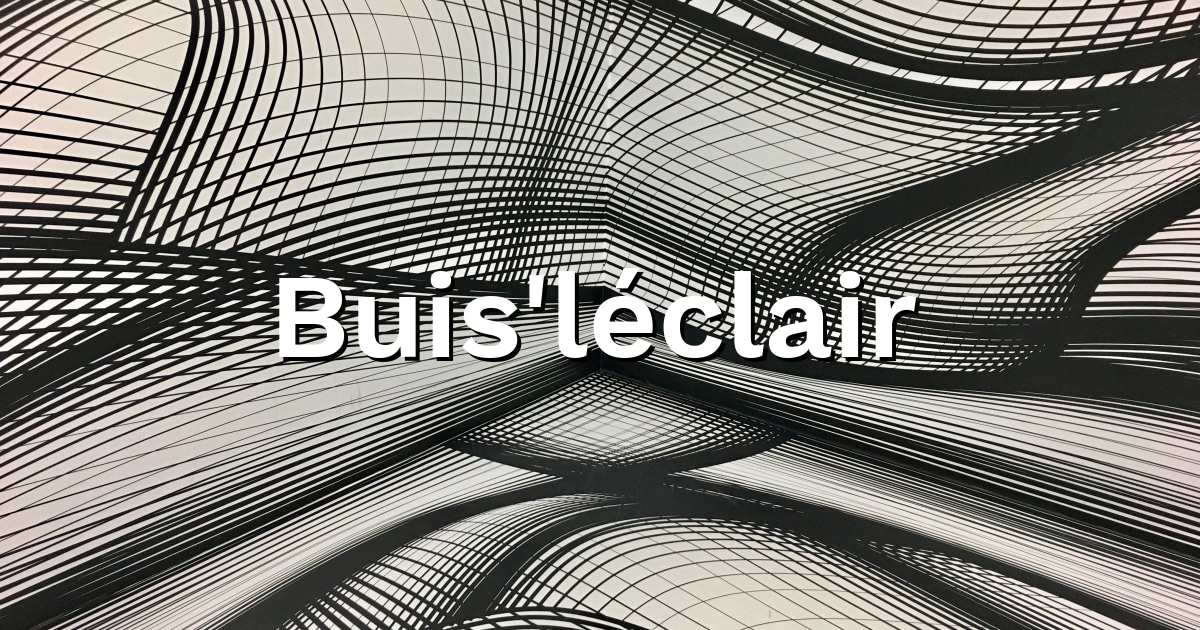 Buisléclair - assistant commercial